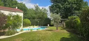 Jardin ensoleillé avec piscine, pelouse verte, olivier, abri en bois et haie dense, aménagement paysager de graviers blancs.